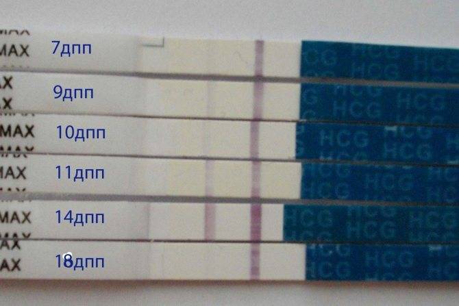 Тесты после подсадки эмбрионов
