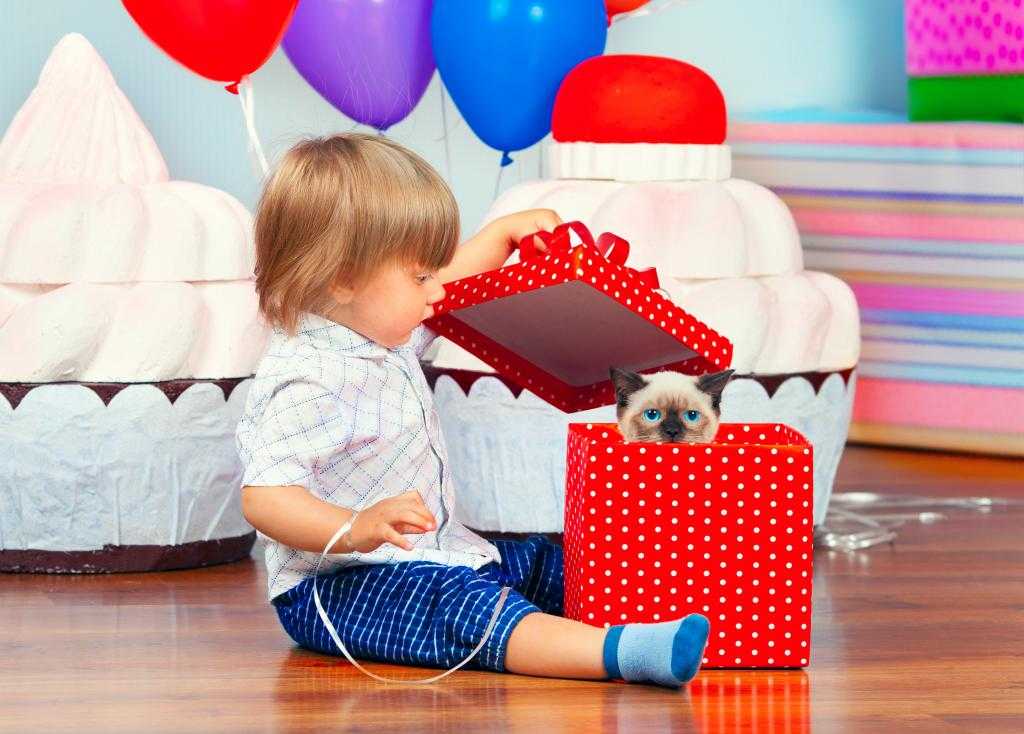 Что подарить мальчику на 4 года (41 фото): интересные идеи для подарка на день рождения