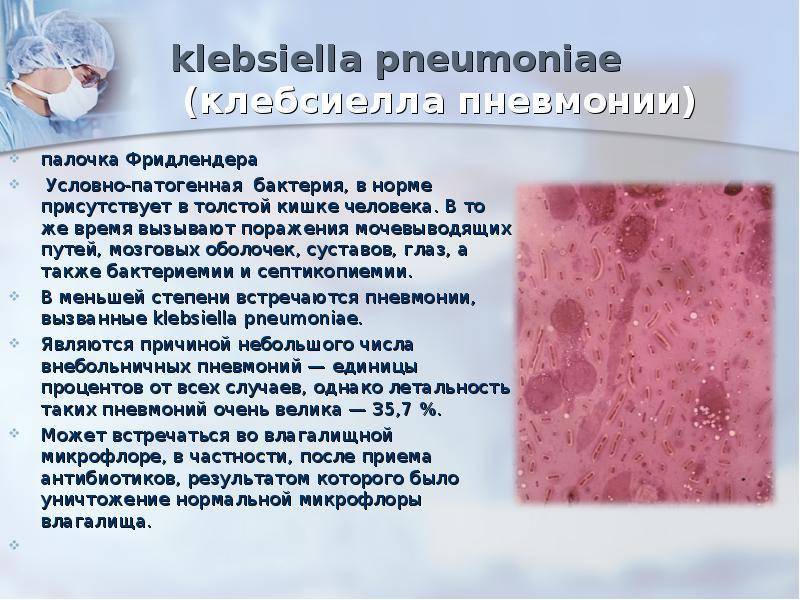 Клебсиелла у детей - симптомы болезни, профилактика и лечение клебсиеллы у детей, причины заболевания и его диагностика на eurolab