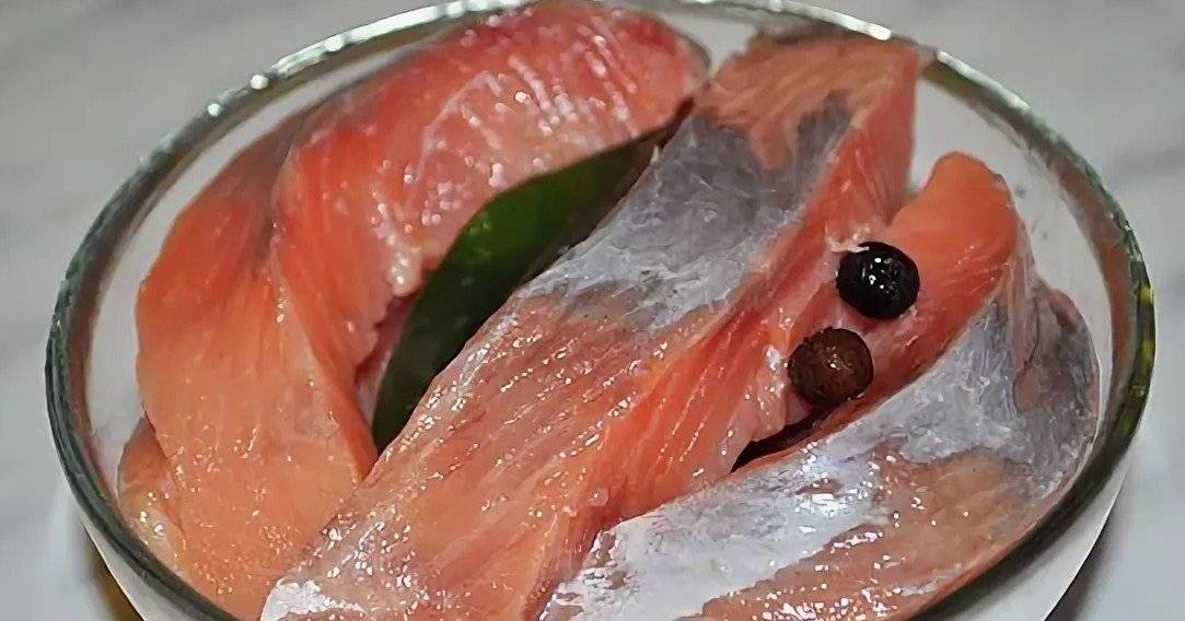 Можно ли беременным семгу слабосоленую, сушеную и вяленую красную рыбу — форель, горбушу, лосось?