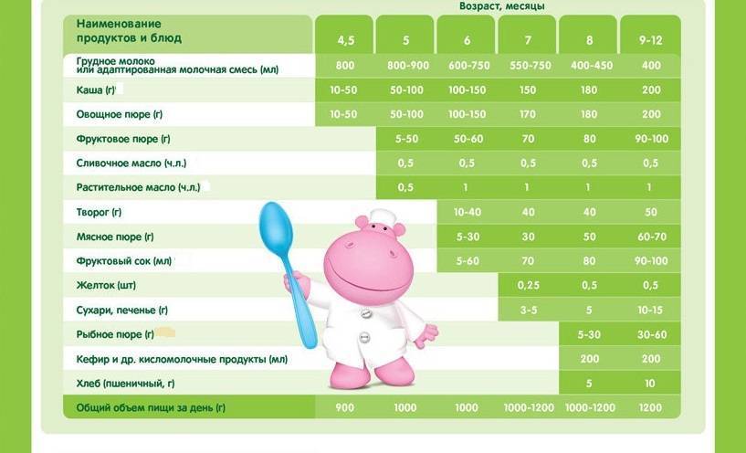 Сколько должен съедать ребенок в 5-6 месяцев: смеси, пюре