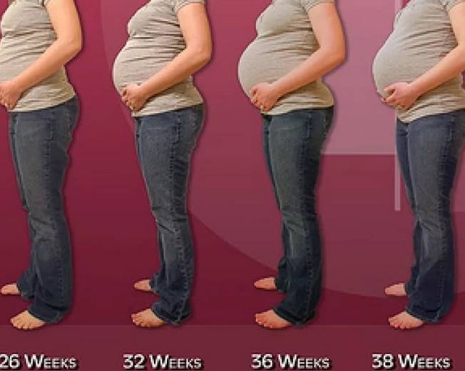 Когда начинает расти грудь при беременности – личный женский блог