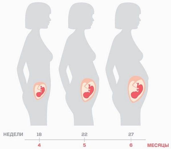 Развитие плода на 8 месяце беременности