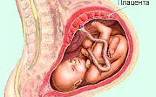 Кардиотокография (ктг). исследование и запись сердцебиения ребенка