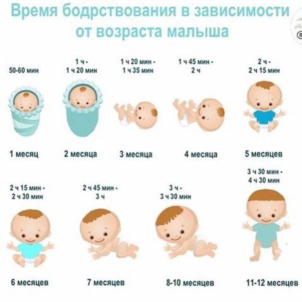 Малышу 6 месяцев: нормы сна и бодрствования, примерный режим дня