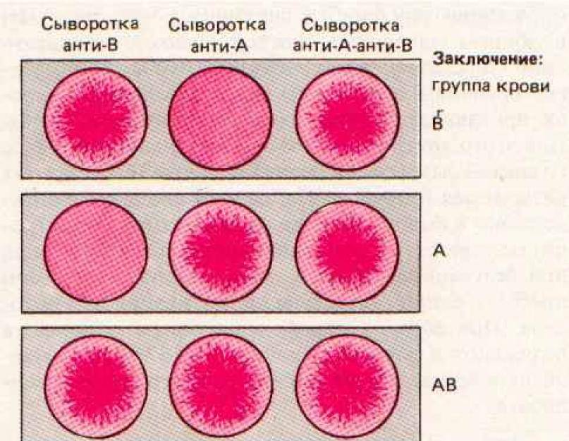Группа крови + резус-фактор