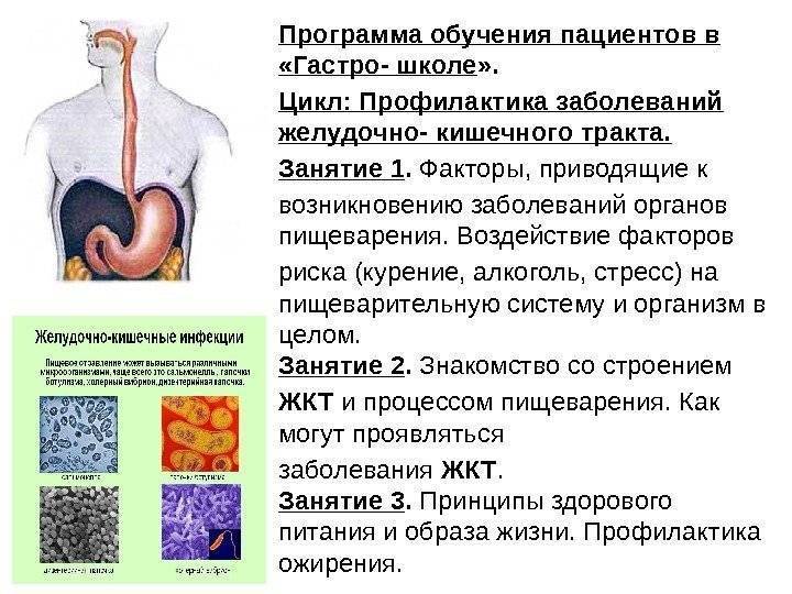 Язвенная болезнь желудка и 12-перстной кишки: лечение и диагностика симптомов, причин в москве