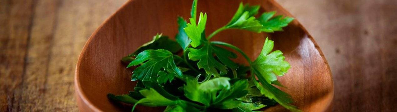 Какую зелень можно кушать кормящей маме: петрушка, укроп и зеленый лук во время грудного вскармливания