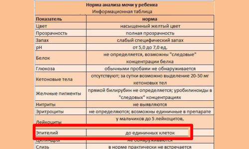 Анализ мочи по зимницкому | медицинский центр «президент-мед»