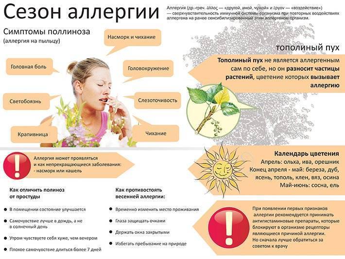 Симптомы и лечение аллергического бронхита у взрослых | медицинский центр «президент-мед»