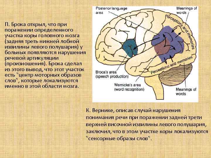 Невротические расстройства у детей и подростков - медицинский центр «эхинацея»