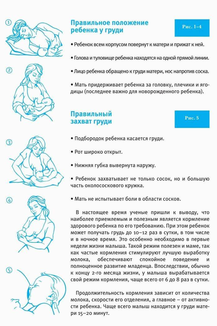 Норма кормления новорожденного на грудном вскармливании