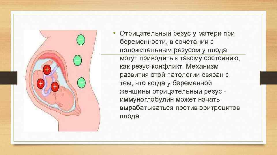 Резус фактор при беременности: причины, симптомы - роддом "лелека"