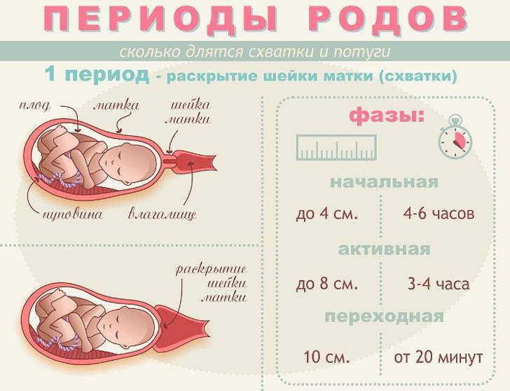 Схватки: как понять что они начались | гинекологи москвы
