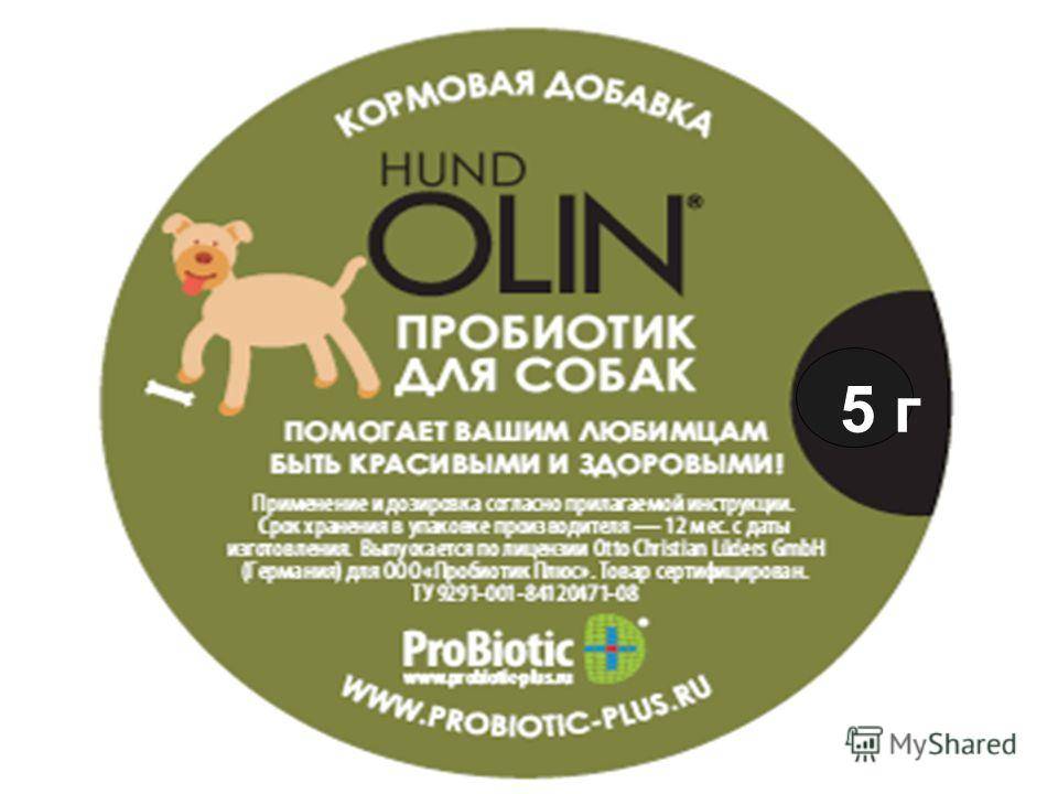 Пробиотики для животных