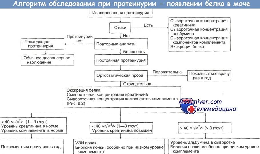 Кетоновые тела в моче и кетонурия (кетоны в моче) - норма, симптомы, лечение * клиника диана в санкт-петербурге