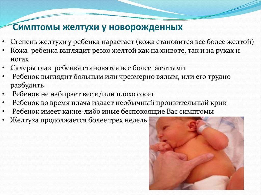 Желтушка у новорожденных - причины и последствия, норма билирубина (Комаровский)