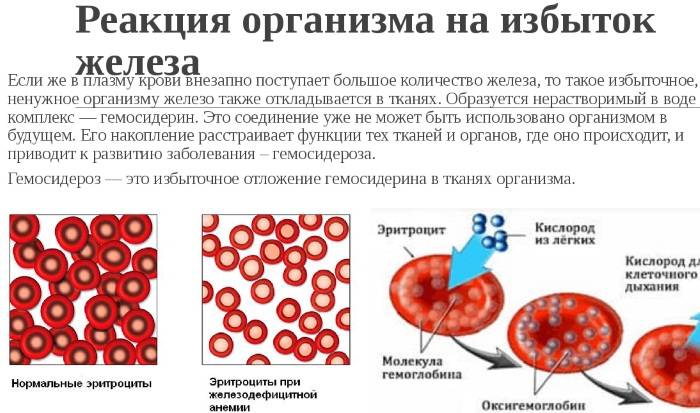 Анемия у пожилых людей