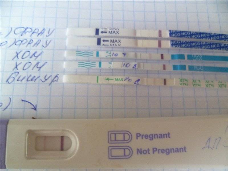 Через сколько дней после зачатия можно узнать о беременности с помощью теста и без него?